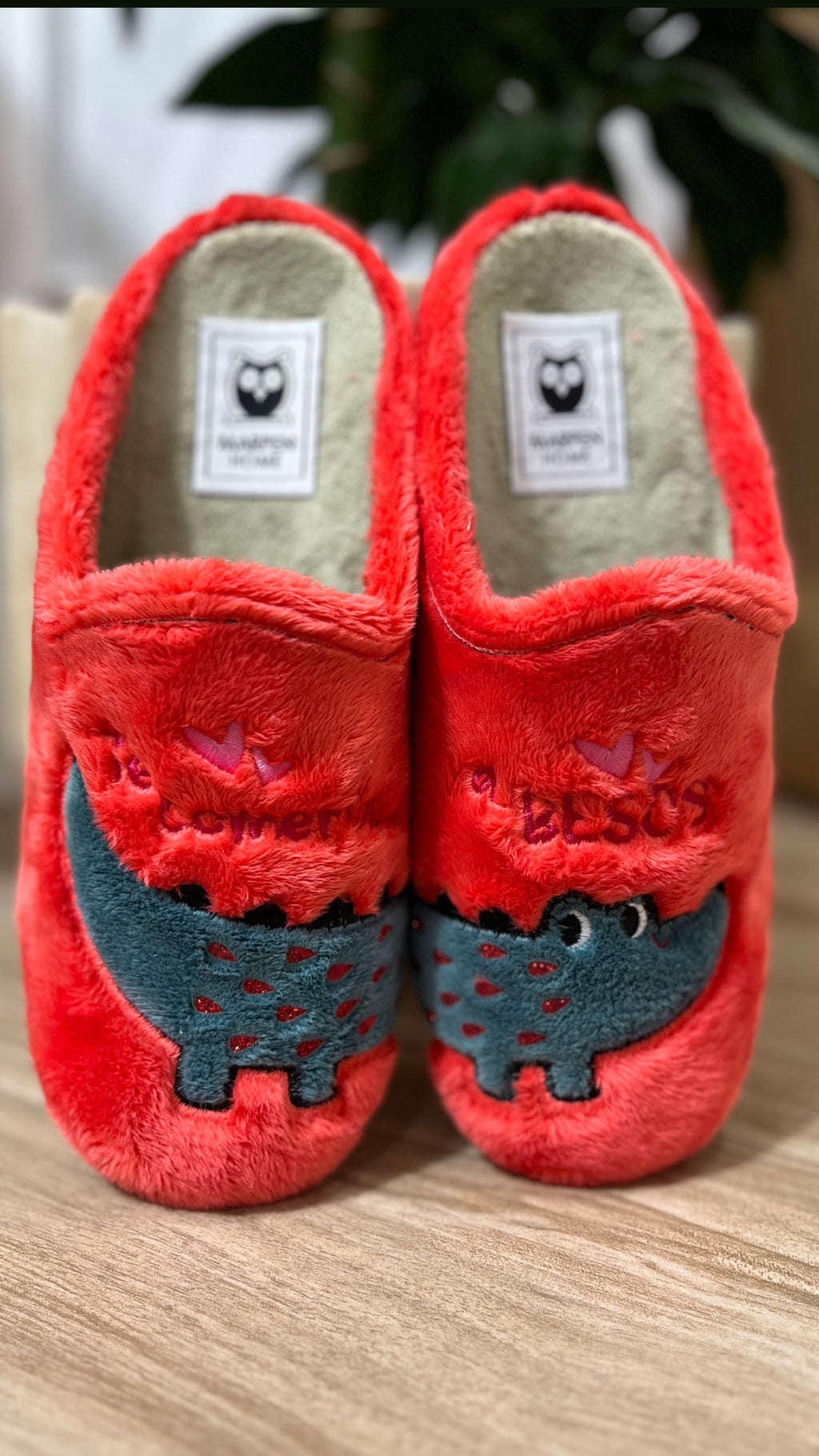 Zapatillas de casa Dino Besos